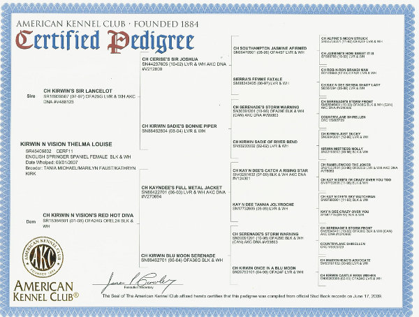 Gracie Pedigree